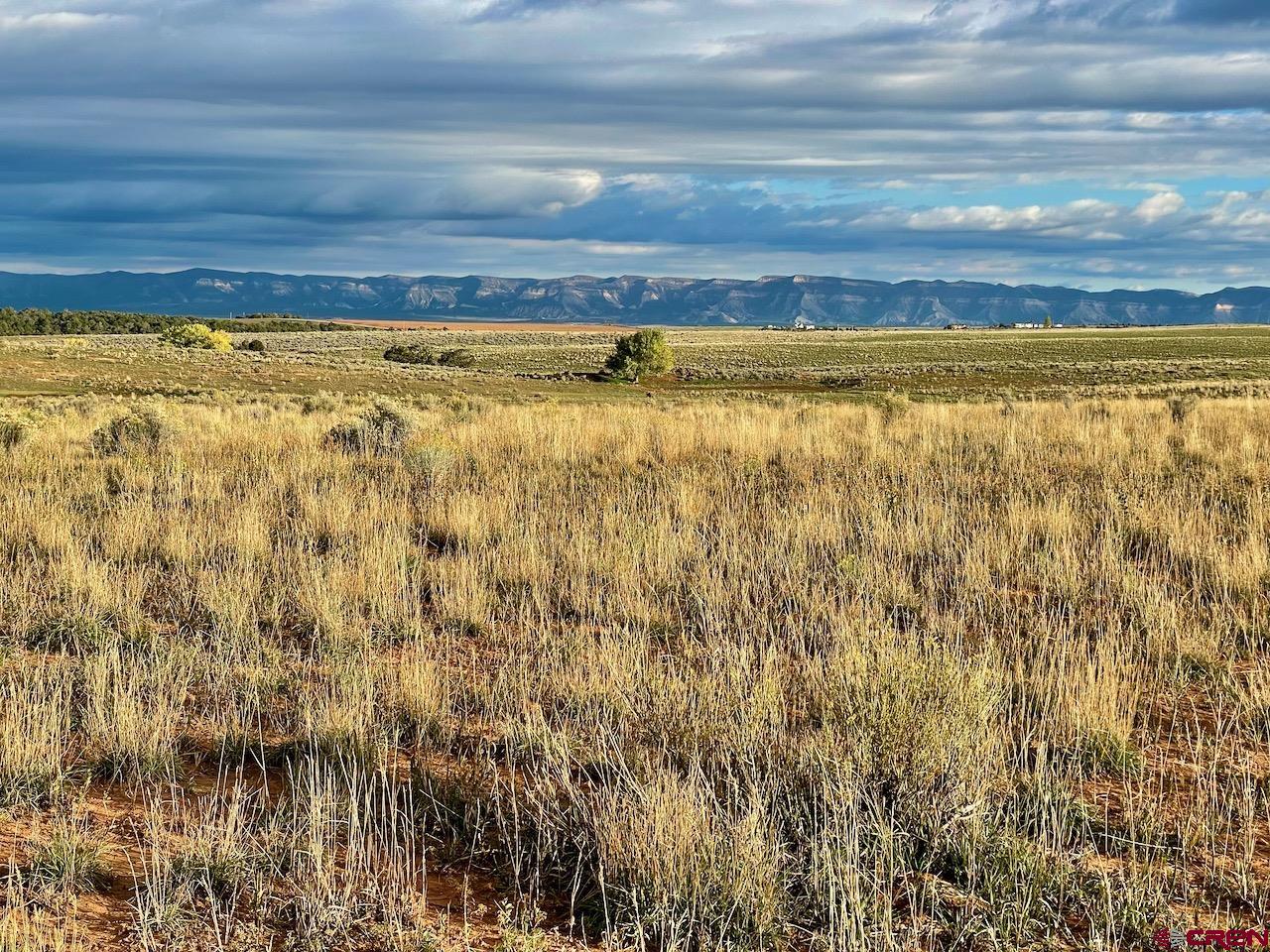 17 Road 17 Cortez, CO 81321 - Photo 17 of 19 a view of under construction area