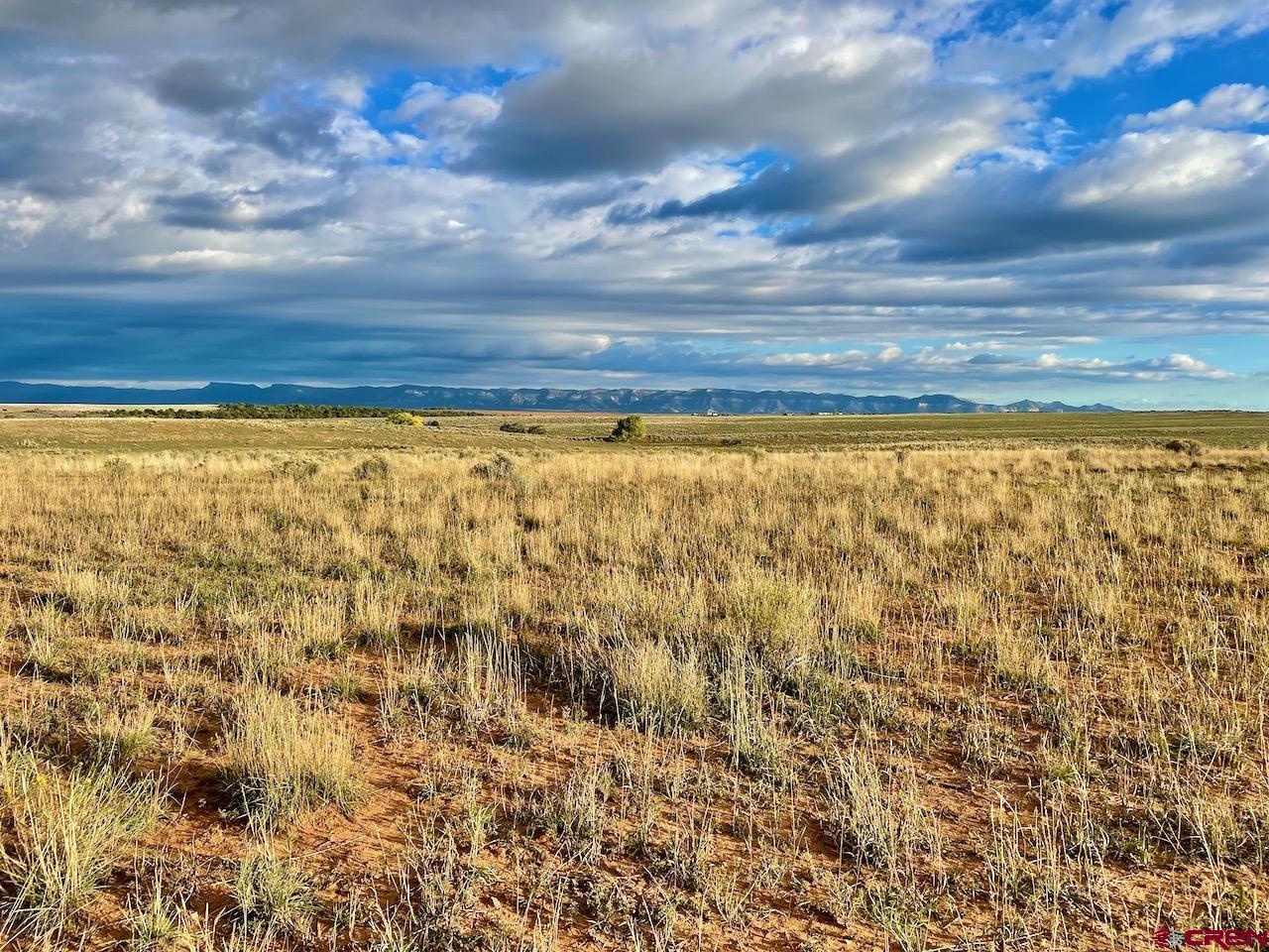17 Road 17 Cortez, CO 81321 - Photo 18 of 19 a view of an ocean