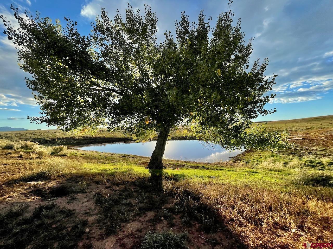 17 Road 17 Cortez, CO 81321 - Photo 10 of 19 a view of an ocean with yard
