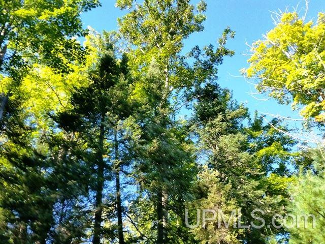 Tbd West Paint Lake Road, Unit J Iron River, MI 49935 - Photo 13 of 17