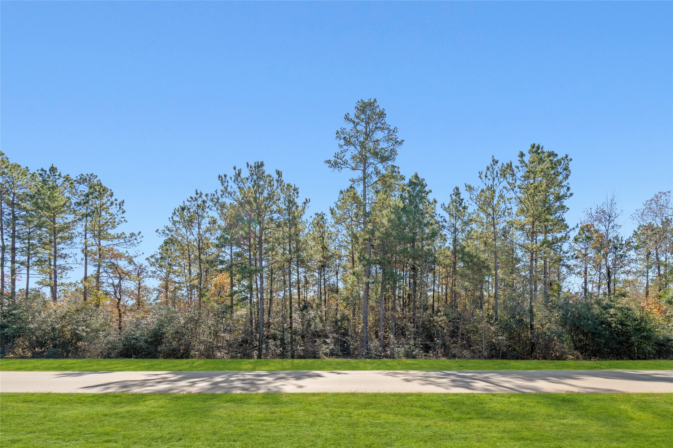10674 Ruger Road Willis, TX 77378 - Photo 2 of 15 Build your dream home on this beautiful 2 acre homesite conveniently located near the front entrance of Republic Grand Ranch.