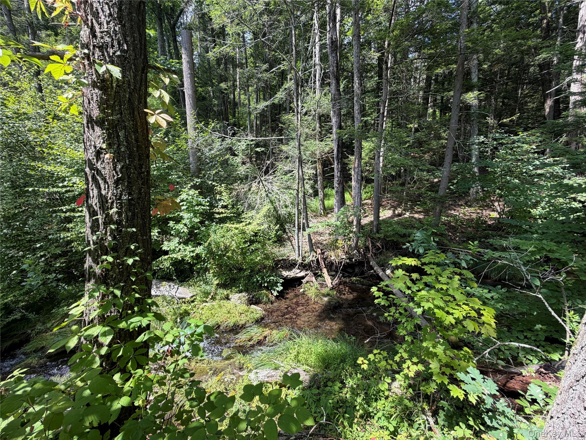 209 Route Wawarsing, NY 12489 - Photo 7 of 24 Fantine Kill to cross to this property