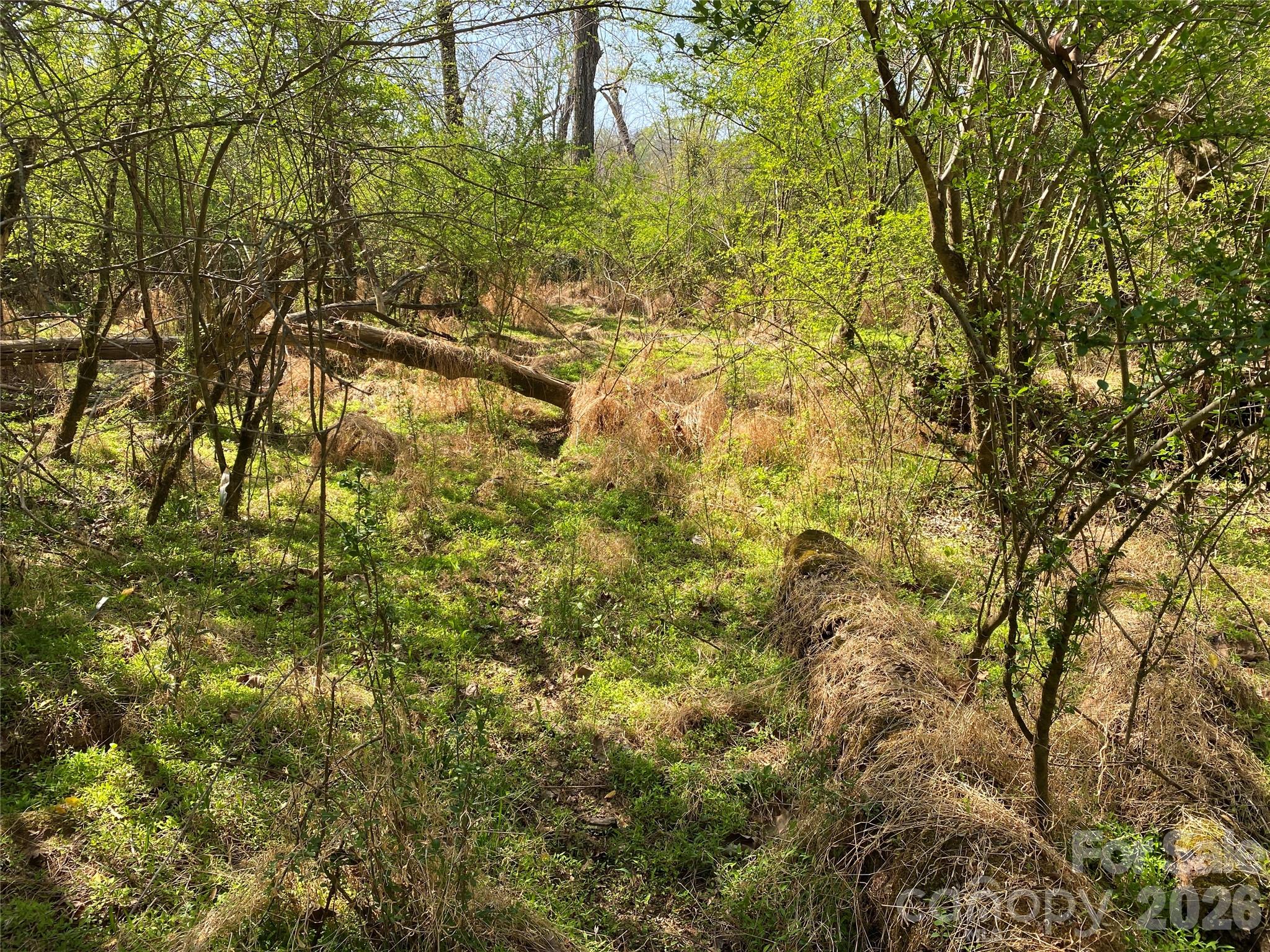 541 Community Road Shelby, NC 28152 - Photo 11 of 17 Gallery Image 11