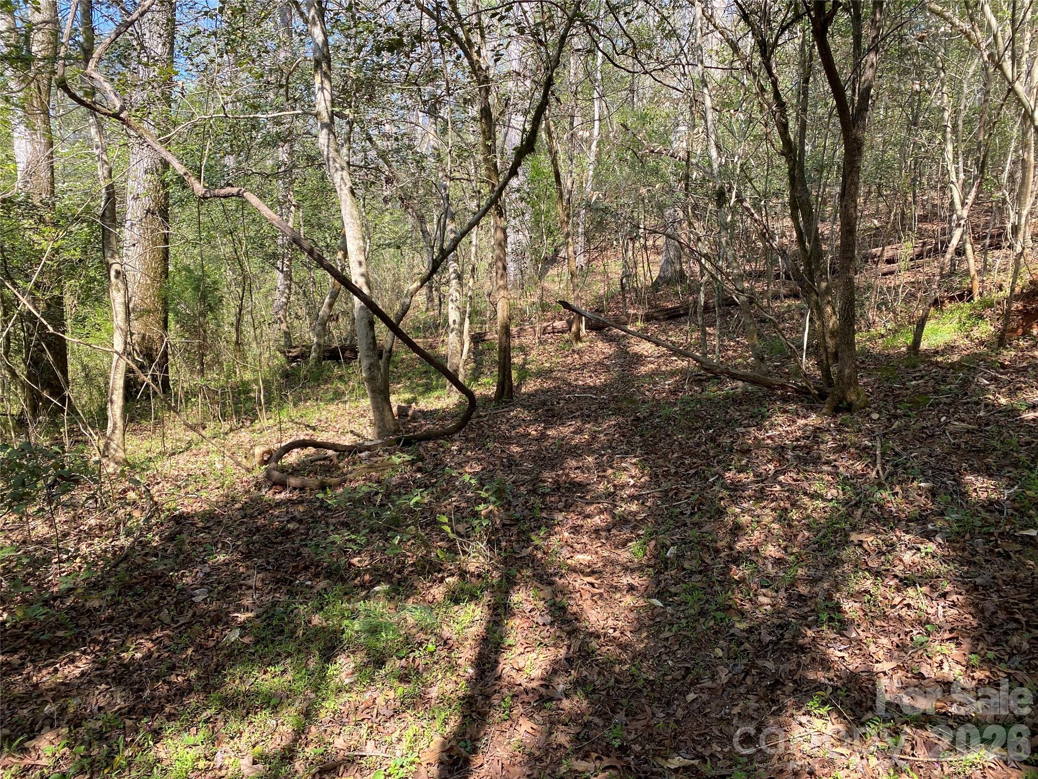 541 Community Road Shelby, NC 28152 - Photo 12 of 17 Gallery Image 12