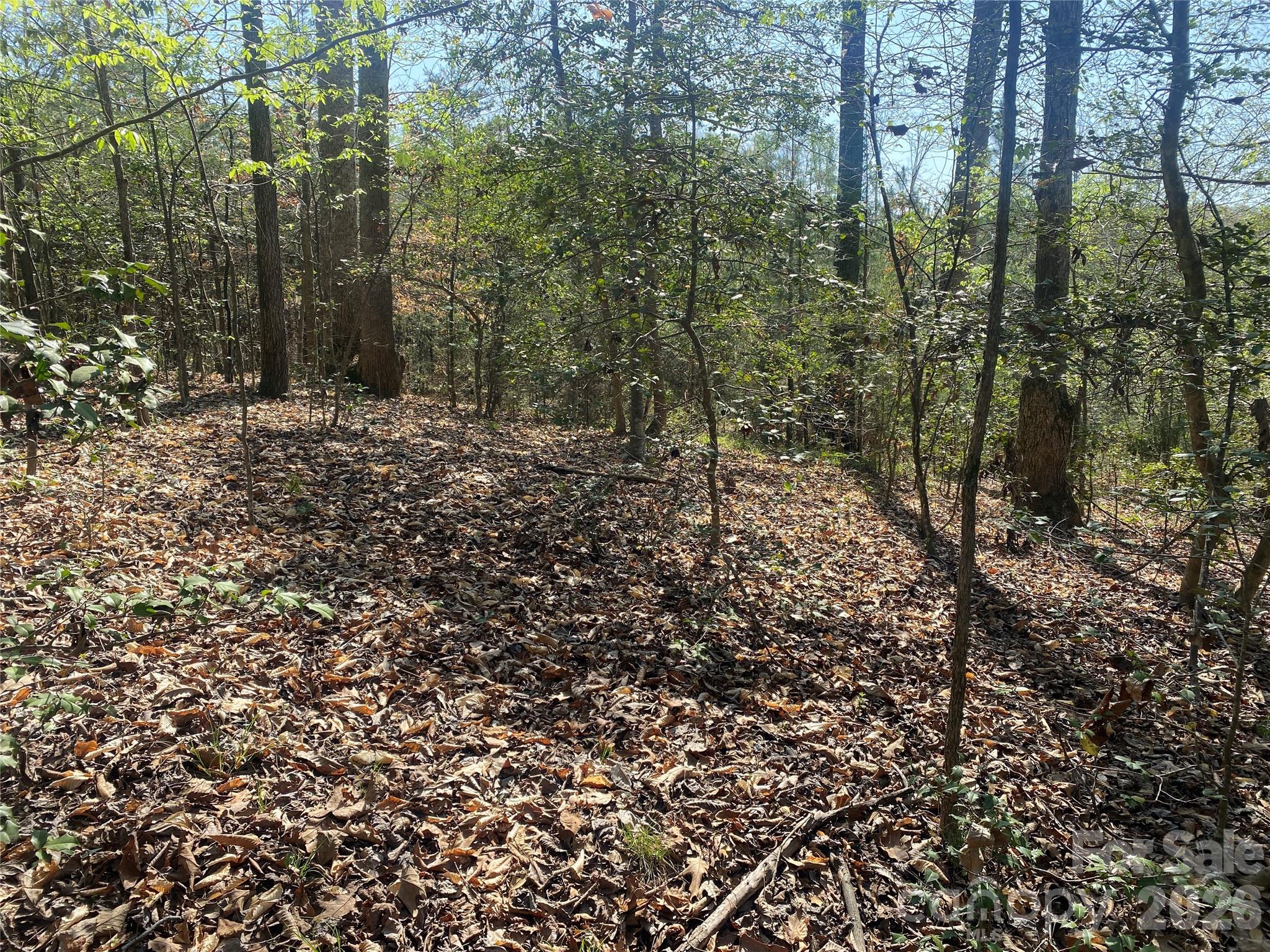 541 Community Road Shelby, NC 28152 - Photo 14 of 17 Gallery Image 14