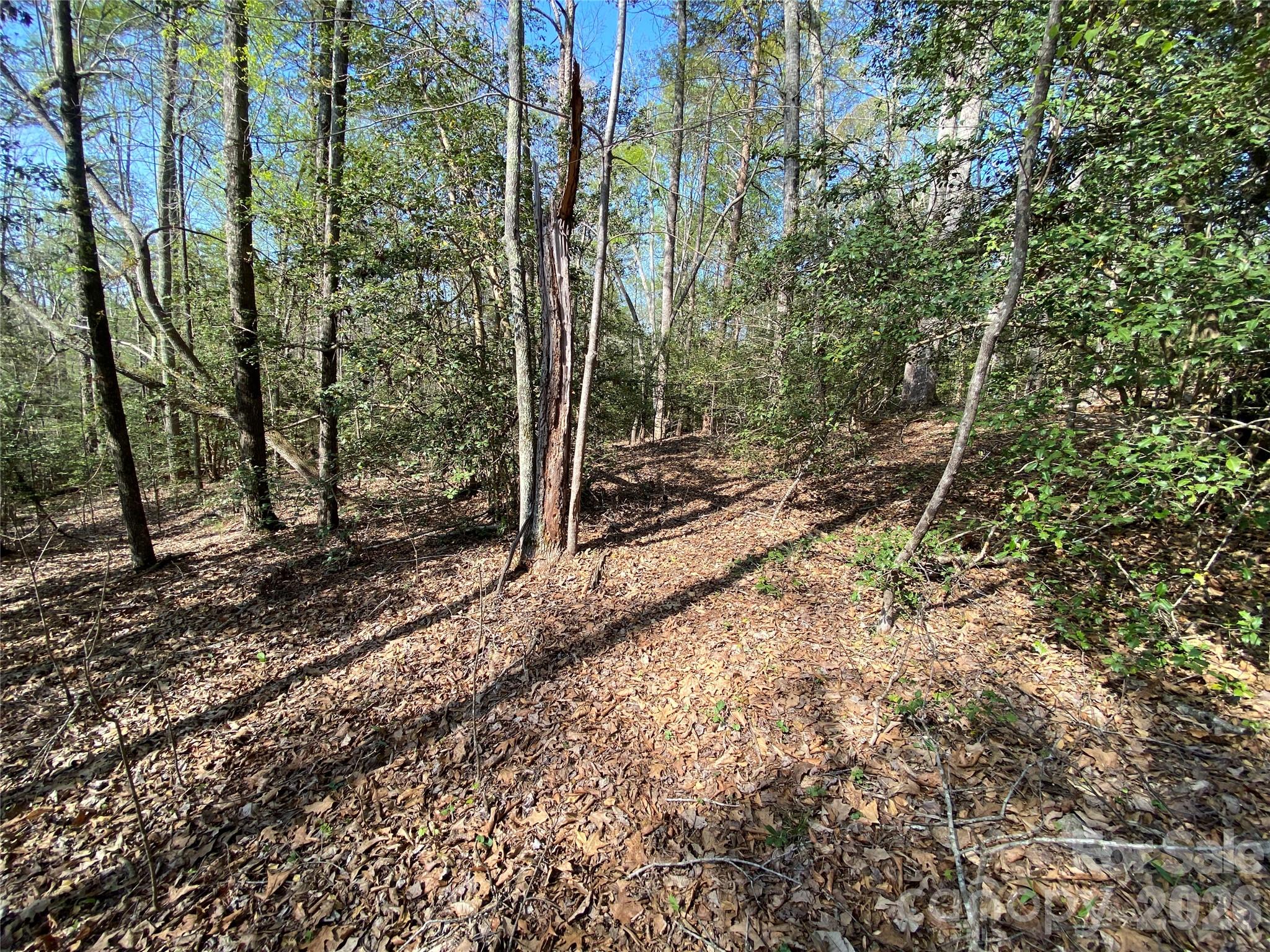 541 Community Road Shelby, NC 28152 - Photo 9 of 17 Gallery Image 9