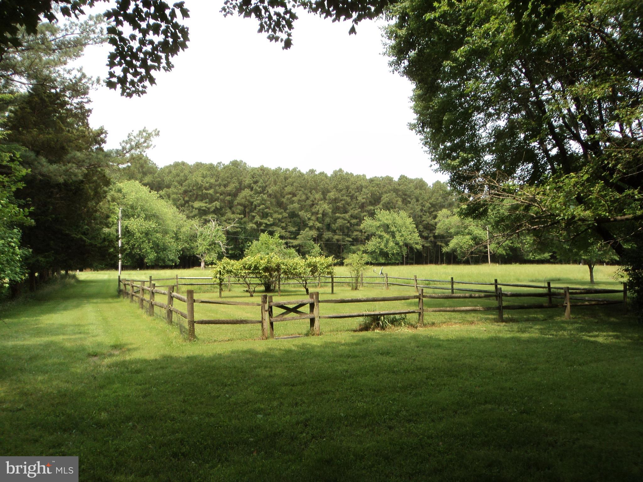 23505 Bozman Road Bozman, MD 21612 - Photo 23 of 24 Gallery Image 23