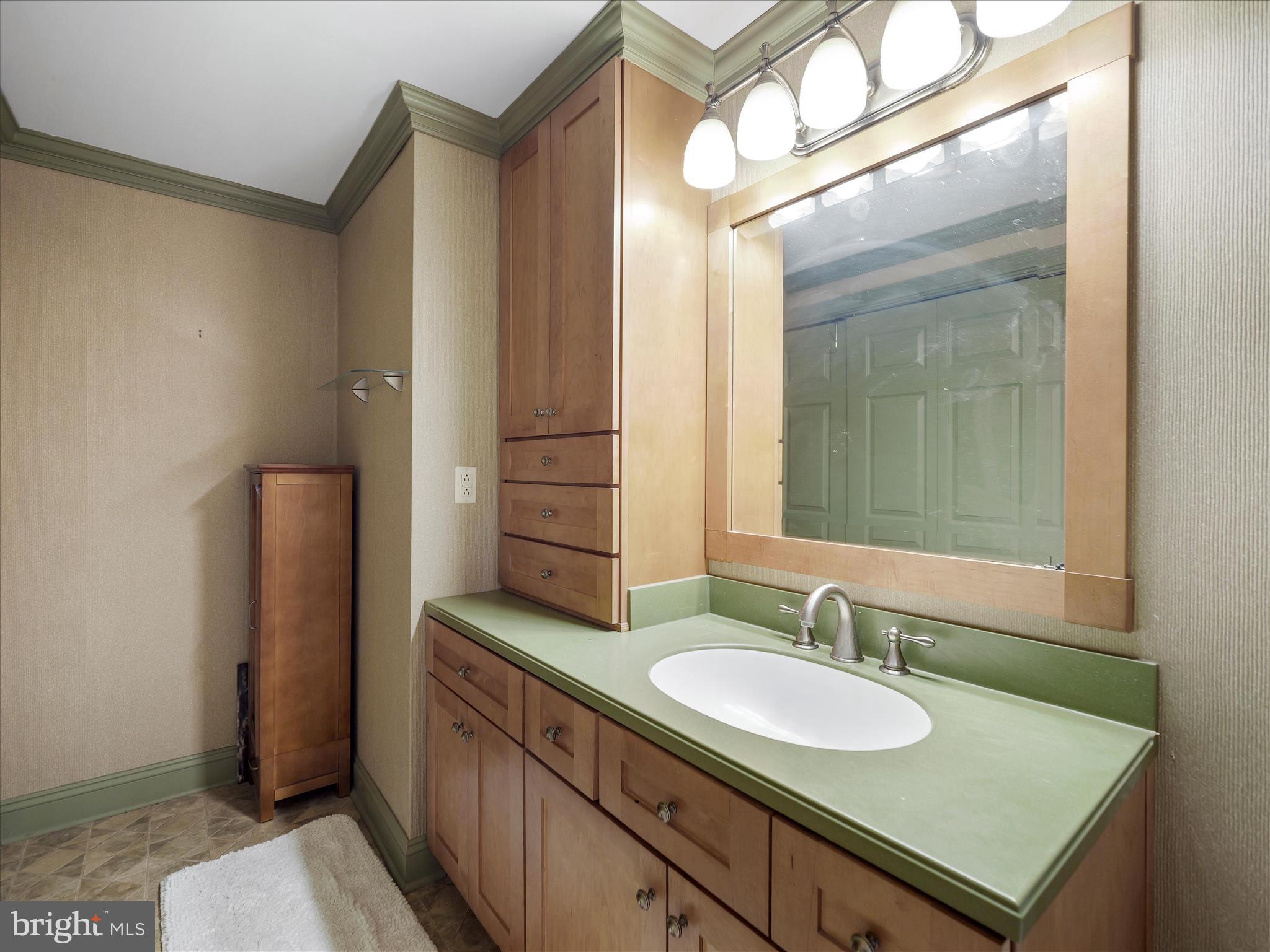 20315 Old Forge Road Hagerstown, MD 21742 - Photo 23 of 71 a bathroom with a sink and a mirror