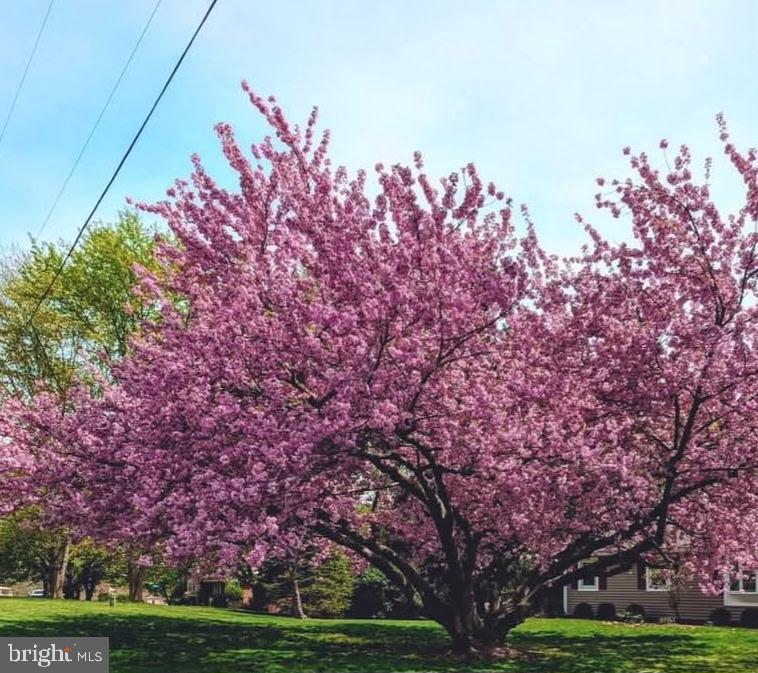 20315 Old Forge Road Hagerstown, MD 21742 - Photo 58 of 71 a front view of a house with a tree