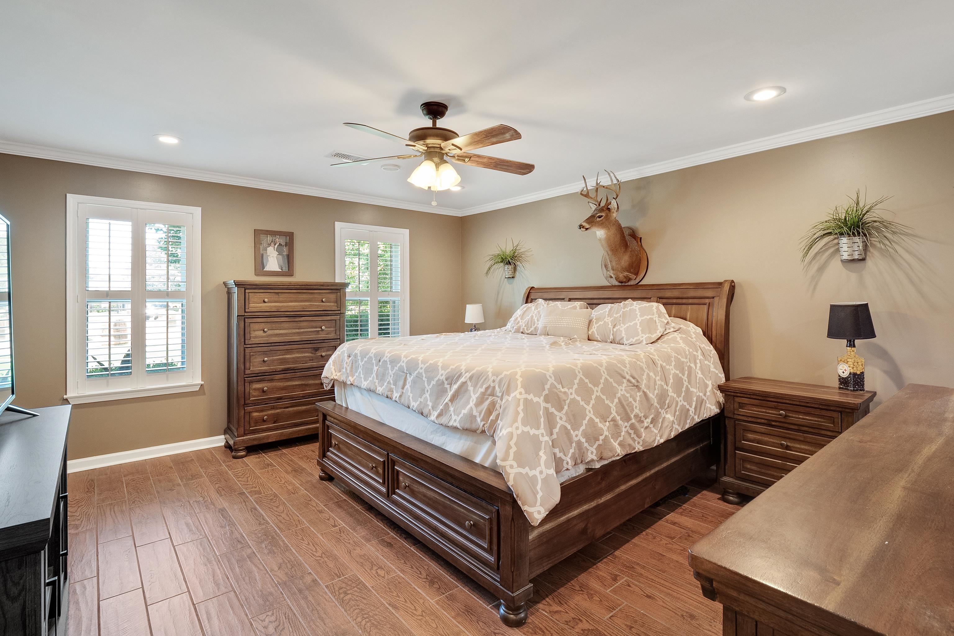 226 Wolf Ridge Cove Collierville, TN 38017 - Photo 10 of 25 a bedroom with a large bed a chandelier and windows