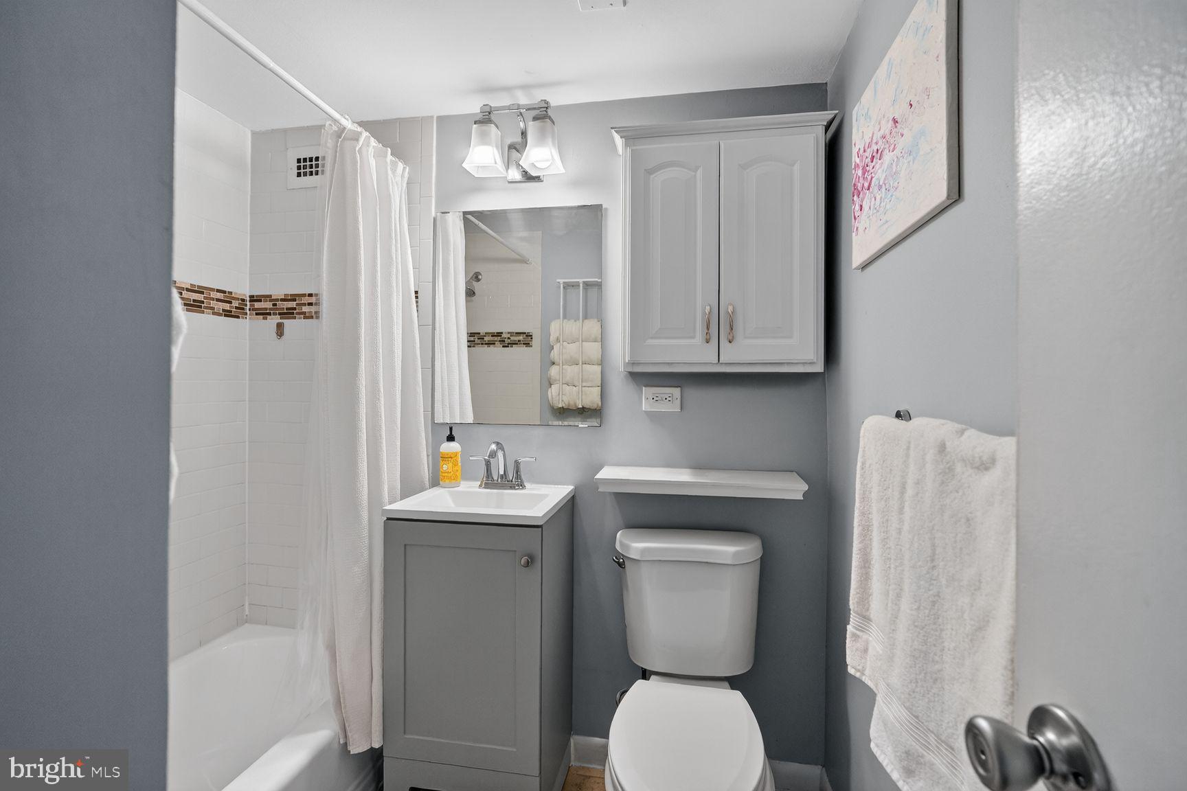 1900 Lyttonsville Road, Unit 1217 Silver Spring, MD 20910 - Photo 10 of 21 Bathroom