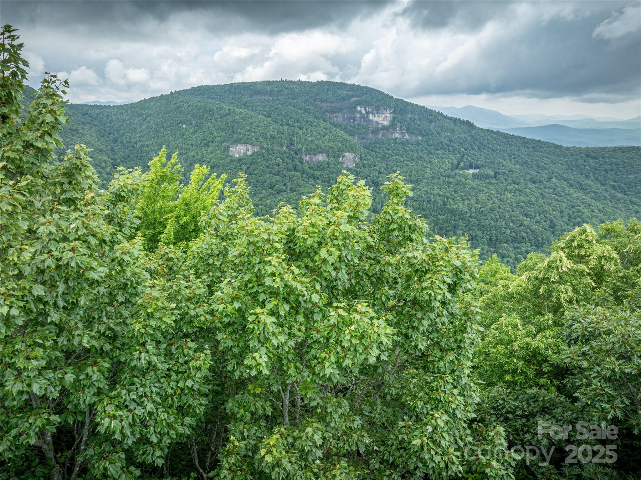 0 Mdw Rdg Drive, Unit L9 Lake Toxaway, NC 28747 - Photo 1 of 10 a view of a garden