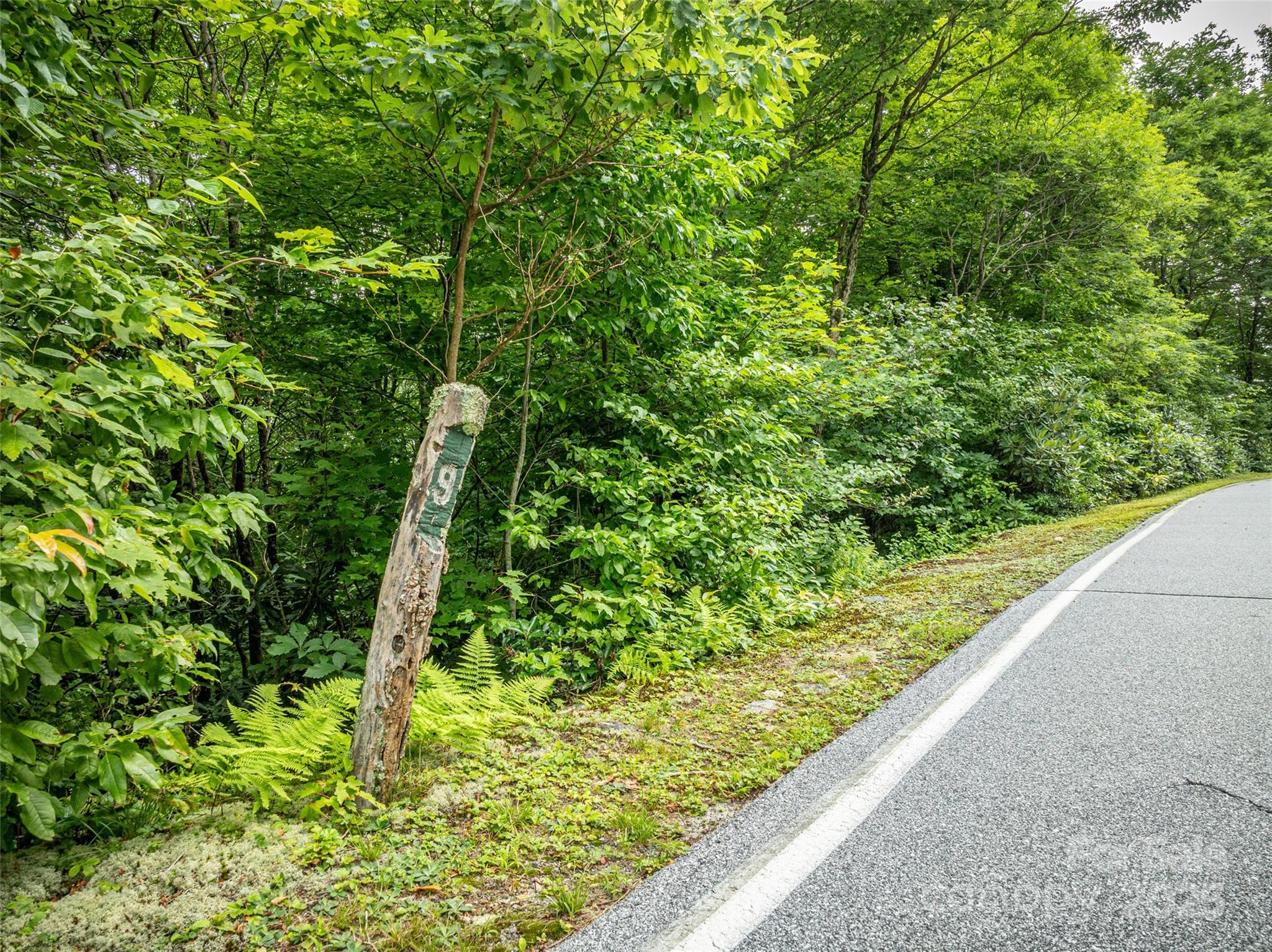 0 Mdw Rdg Drive, Unit L9 Lake Toxaway, NC 28747 - Photo 2 of 10 a view of a garden with a plant