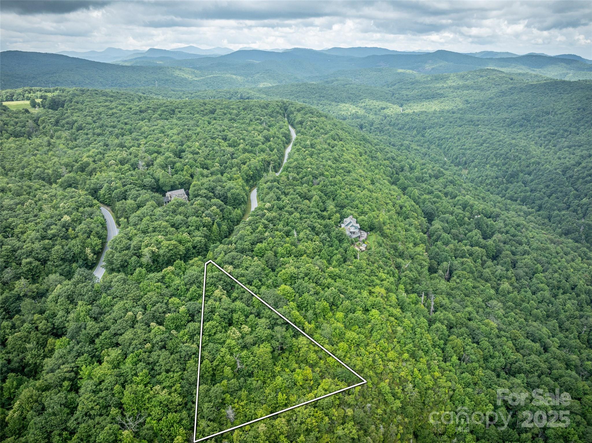 0 Mdw Rdg Drive, Unit L9 Lake Toxaway, NC 28747 - Photo 4 of 10 a view of a lush green forest with trees in the background