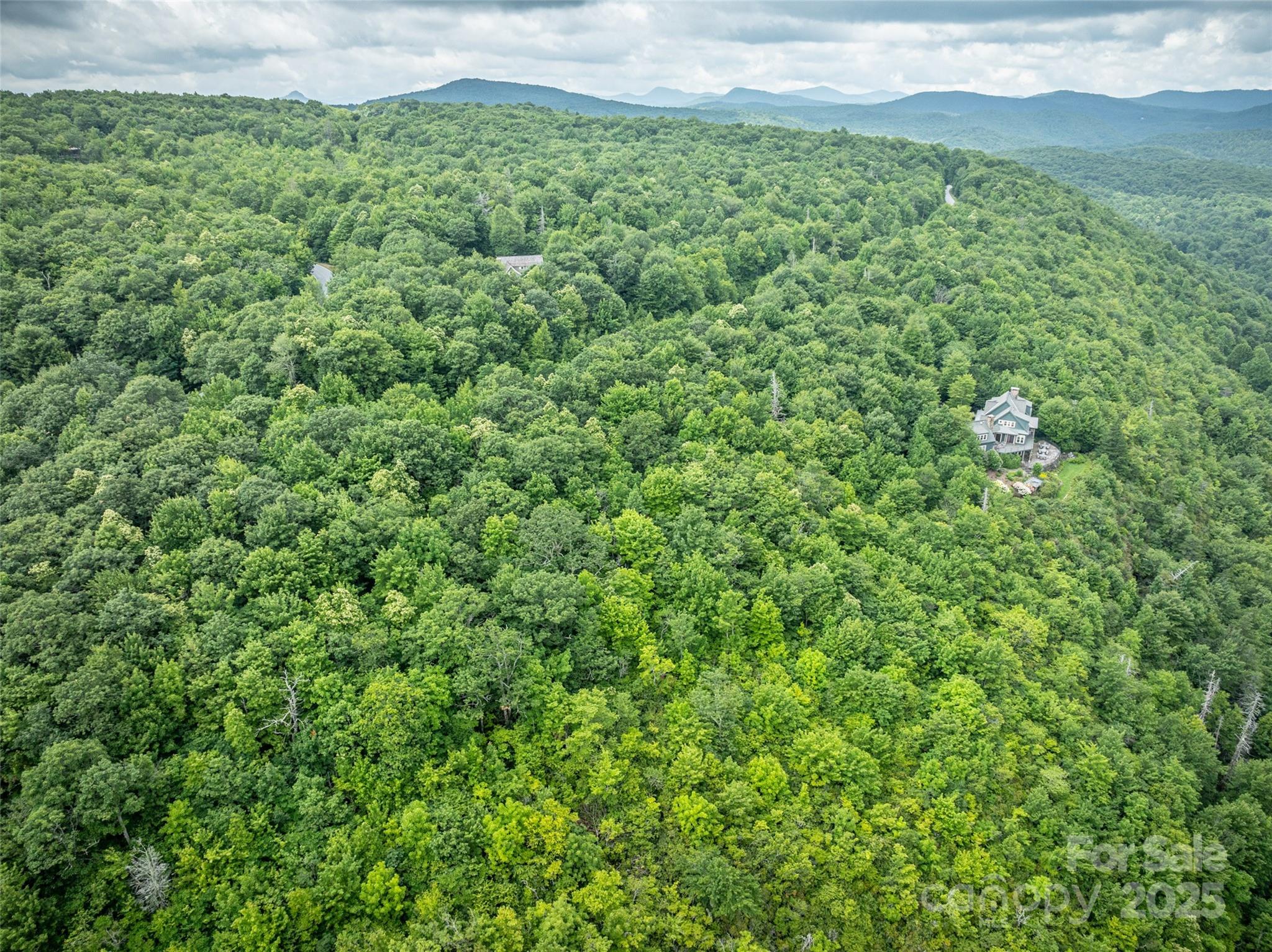 0 Mdw Rdg Drive, Unit L9 Lake Toxaway, NC 28747 - Photo 6 of 10 a view of a lush green field with a mountain in the background