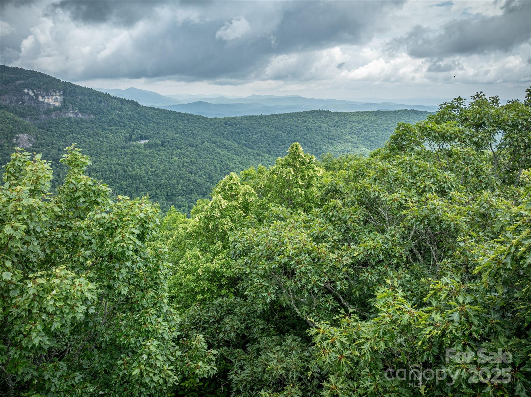 0 Mdw Rdg Drive, Unit L9 Lake Toxaway, NC 28747 - Photo 7 of 10 a view of a lake