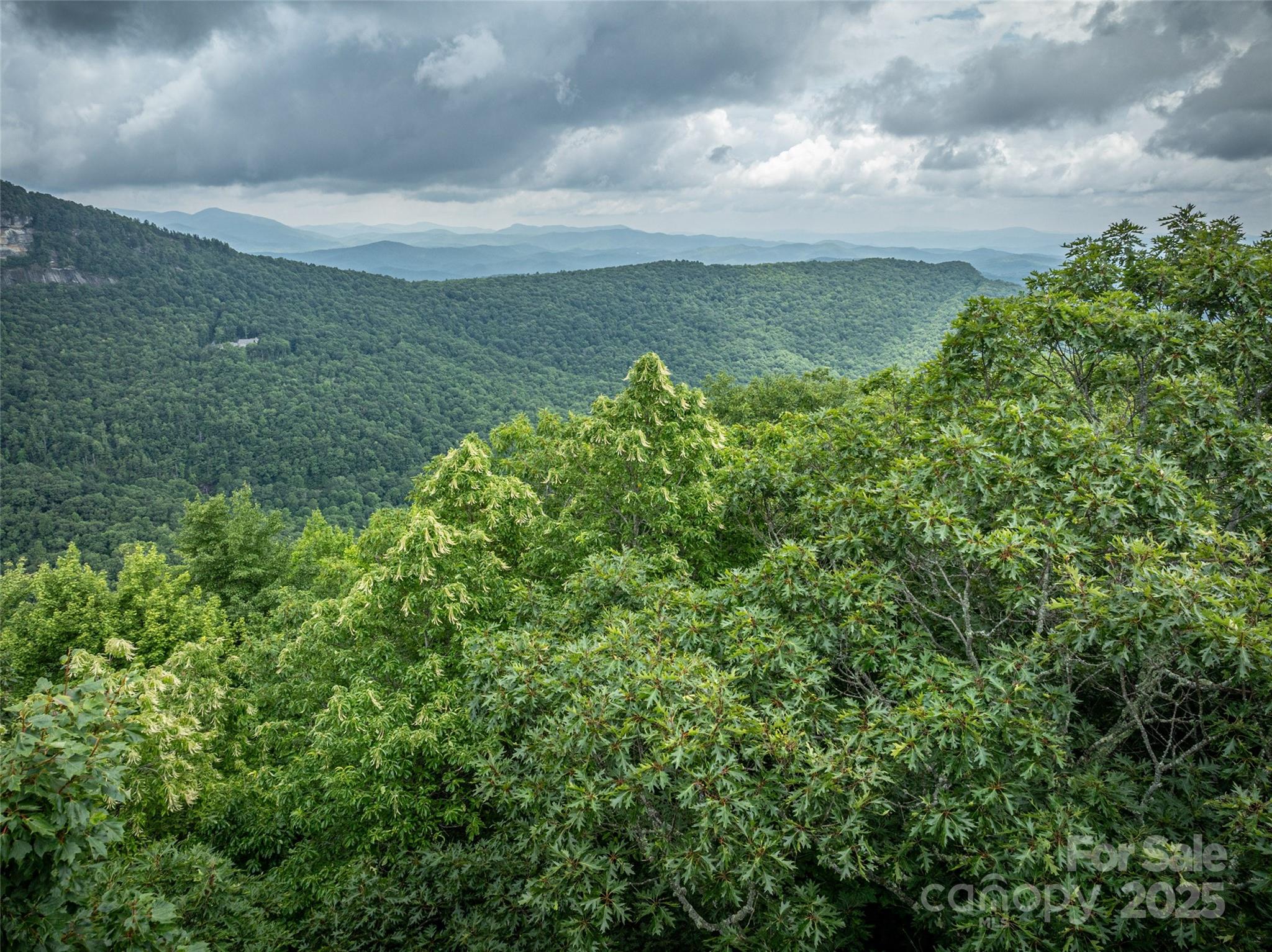 0 Mdw Rdg Drive, Unit L9 Lake Toxaway, NC 28747 - Photo 8 of 10 a view of a lake with a big yard