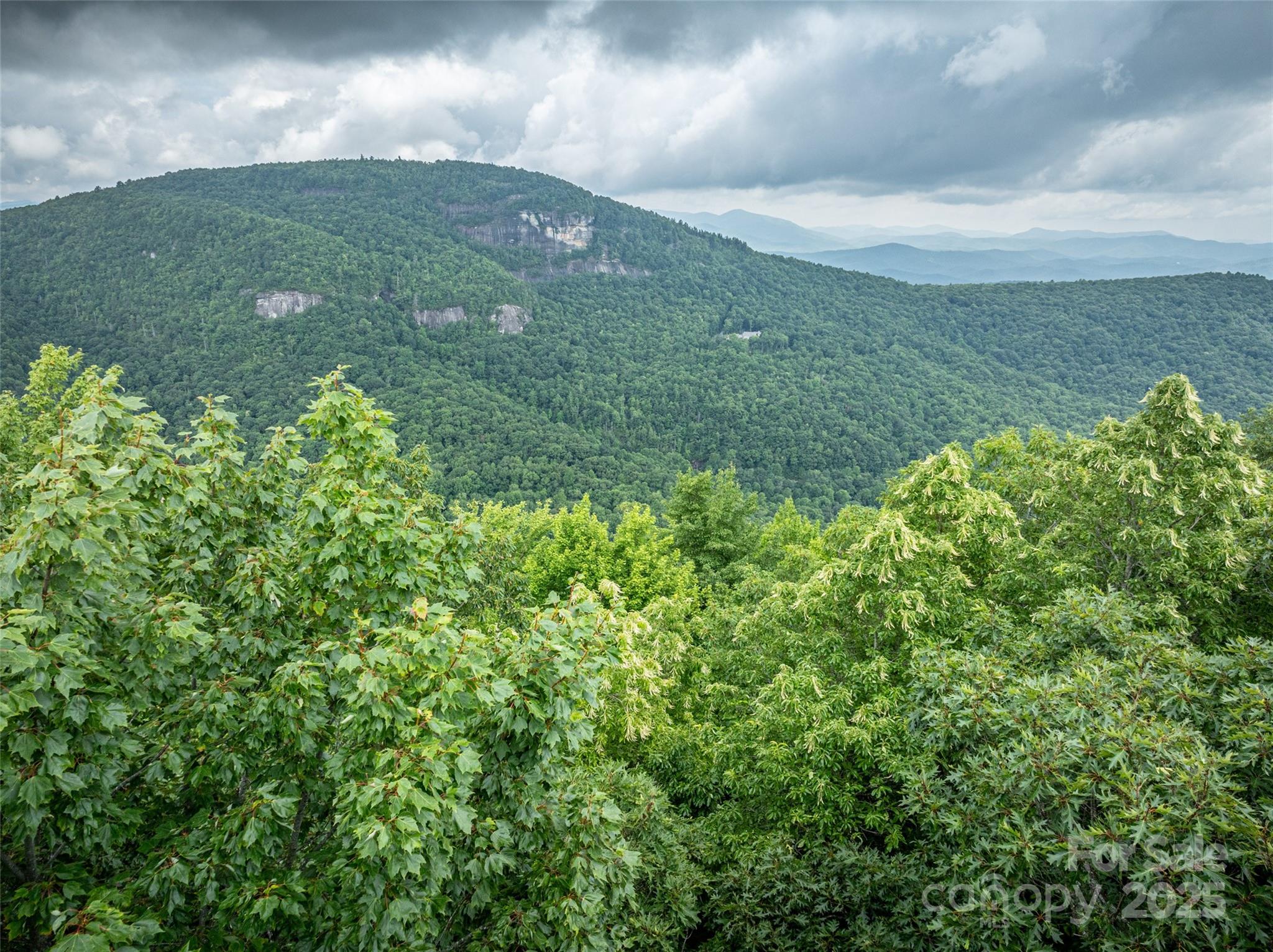 0 Mdw Rdg Drive, Unit L9 Lake Toxaway, NC 28747 - Photo 9 of 10 a view of a green yard