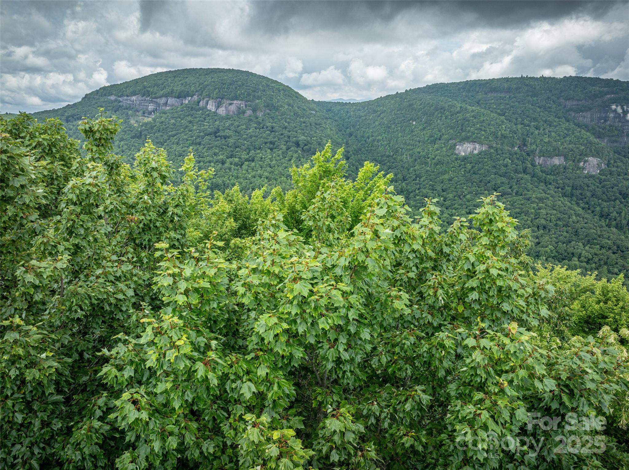 0 Mdw Rdg Drive, Unit L9 Lake Toxaway, NC 28747 - Photo 10 of 10 a view of a garden