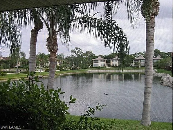 a view of a lake with a palm trees