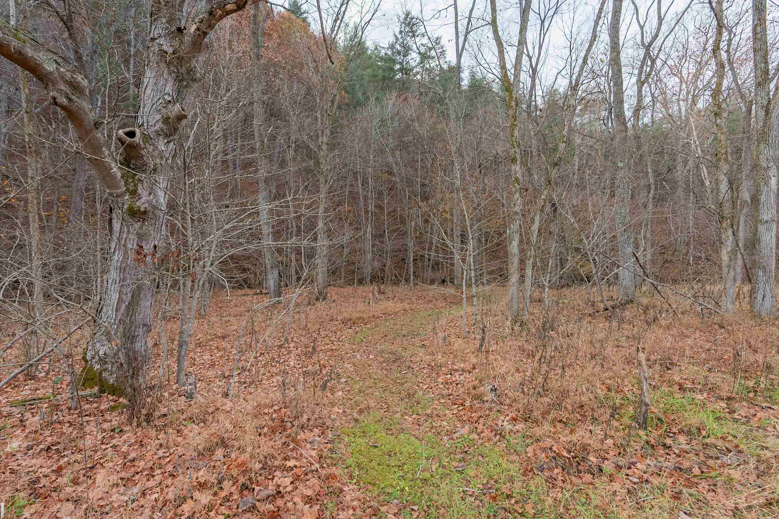 2563 Split Rail Road Shawsville, VA 24162 - Photo 108 of 124 Gallery Image 108