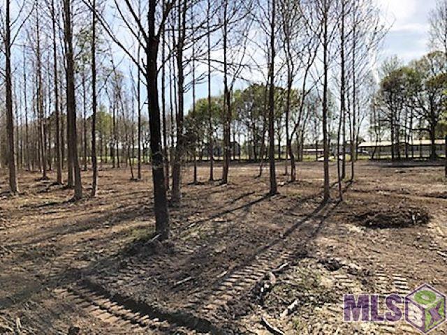 1763 Midway Road Ethel, LA 70730 - Photo 3 of 6 Gallery Image 3
