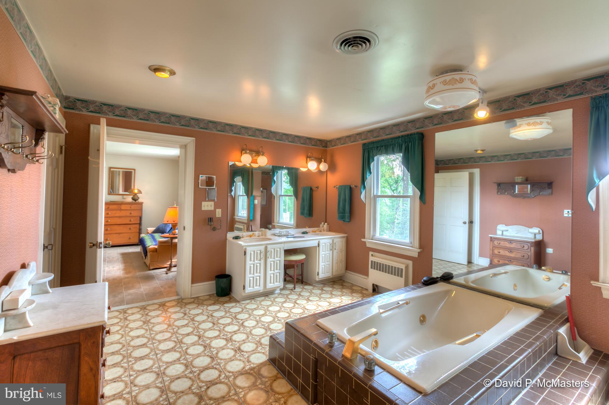 1930 Bakerton Road Harpers Ferry, WV 25425 - Photo 21 of 34 Giant Master BR suite huge-jetted tub + closets