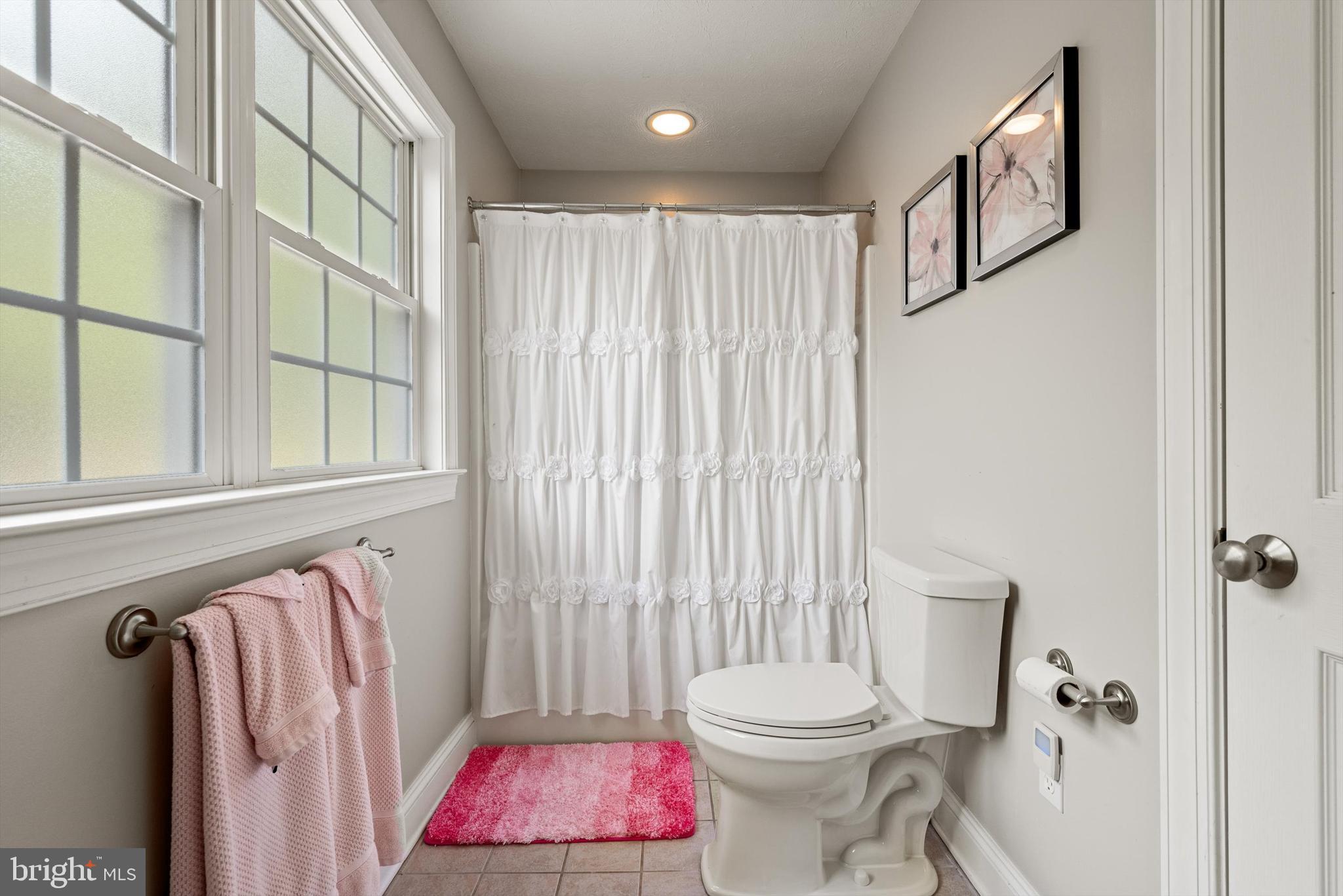 137 Stonebrook Road Winchester, VA 22602 - Photo 35 of 75 Upper Level Hall Bath