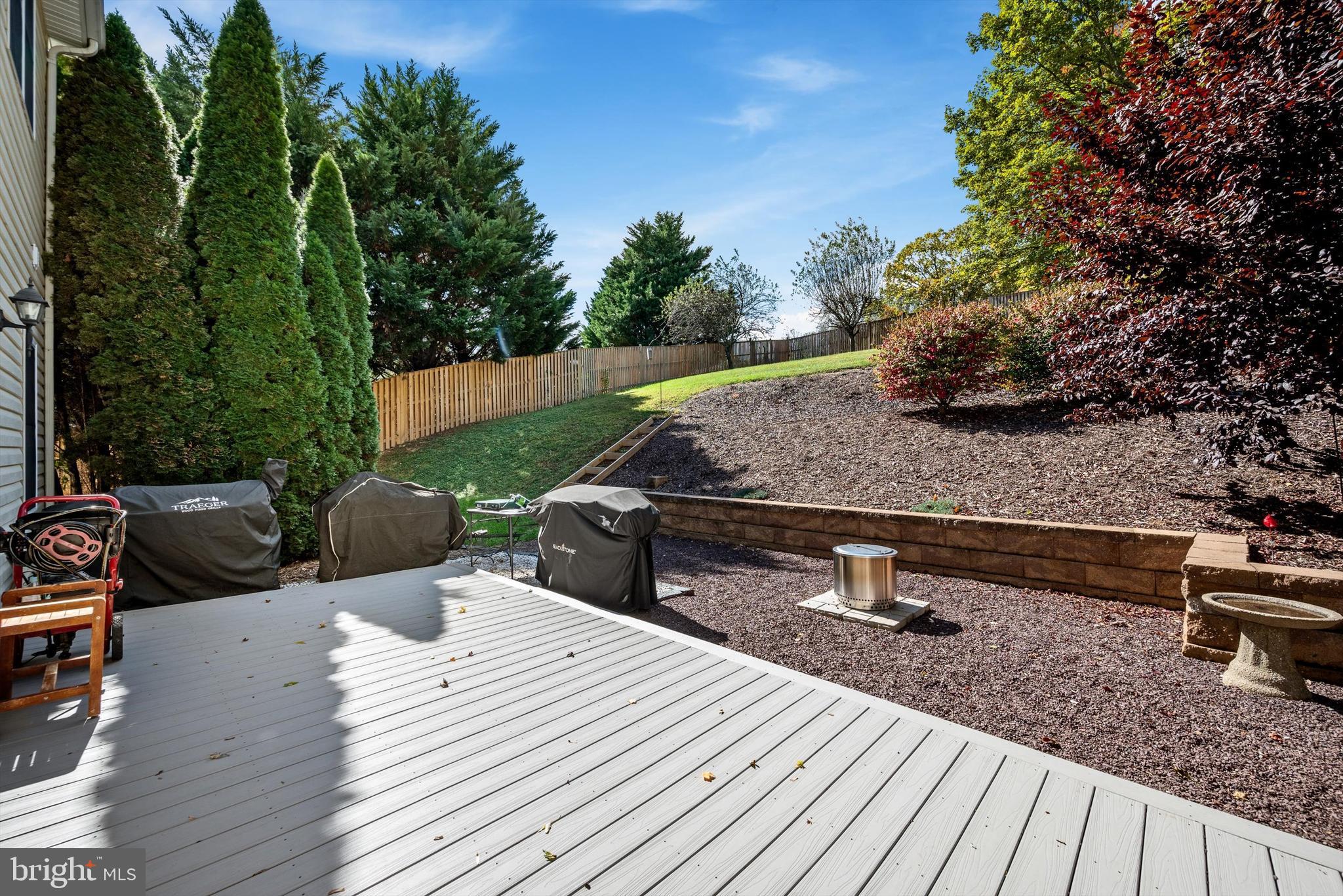 137 Stonebrook Road Winchester, VA 22602 - Photo 51 of 75 Trex Deck and Back Yard
