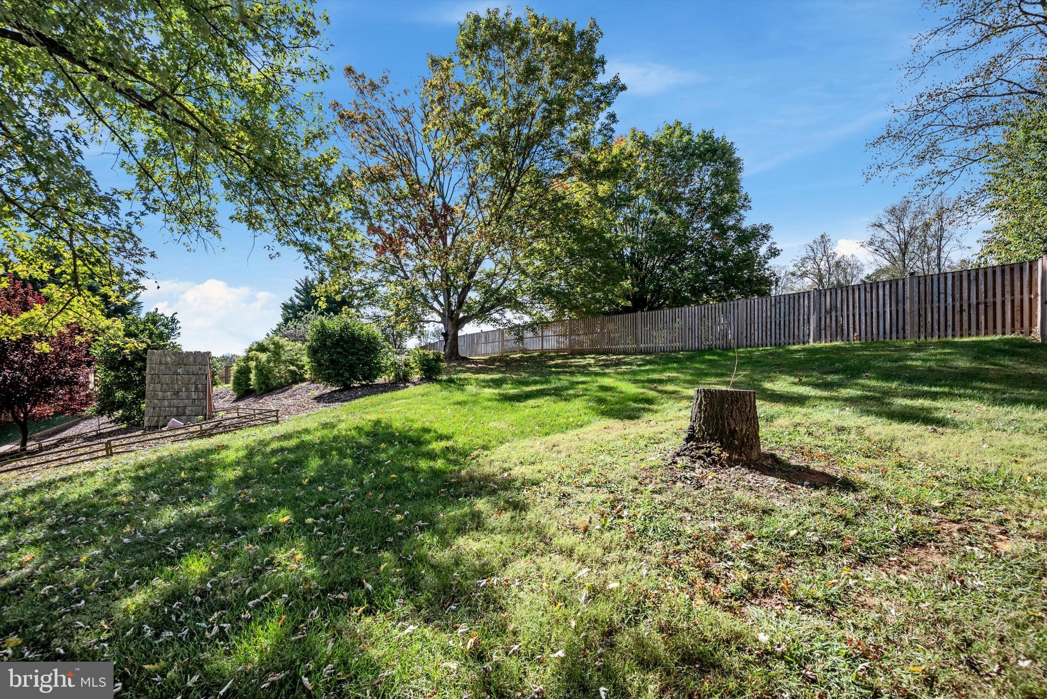 137 Stonebrook Road Winchester, VA 22602 - Photo 58 of 75 Back Yard