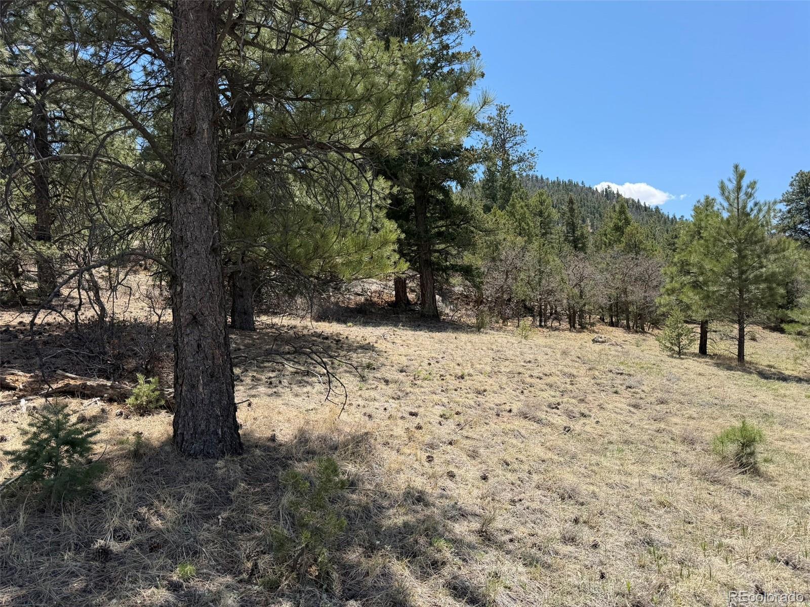 477 Bear Peak Road Westcliffe, CO 81252 - Photo 2 of 39