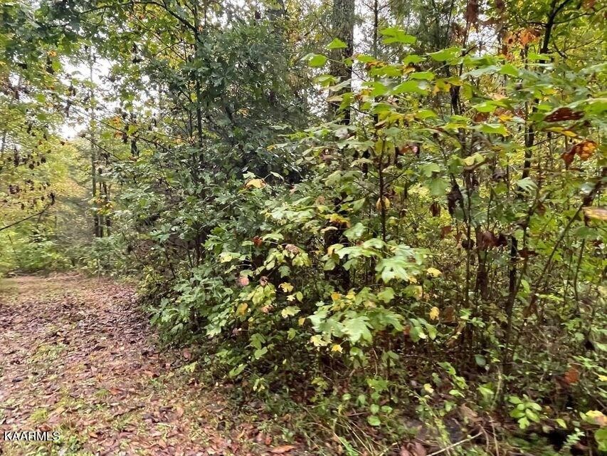 1847 Oloff Smith Road Allardt, TN 38504 - Photo 16 of 20 Gallery Image 16