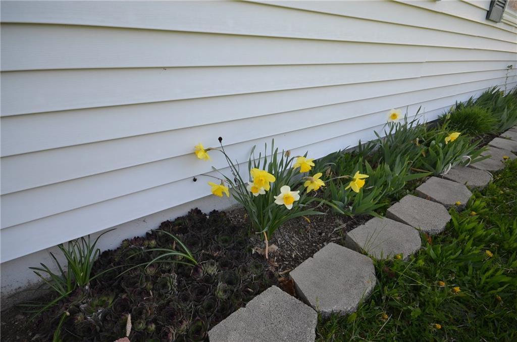 126 Enfield Road Lincoln, ME 04457 - Photo 16 of 23 Flower Garden