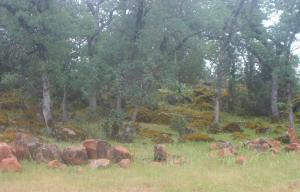 Aoudad Road Anderson, CA 96007 - Photo 2 of 3 Listing Photo