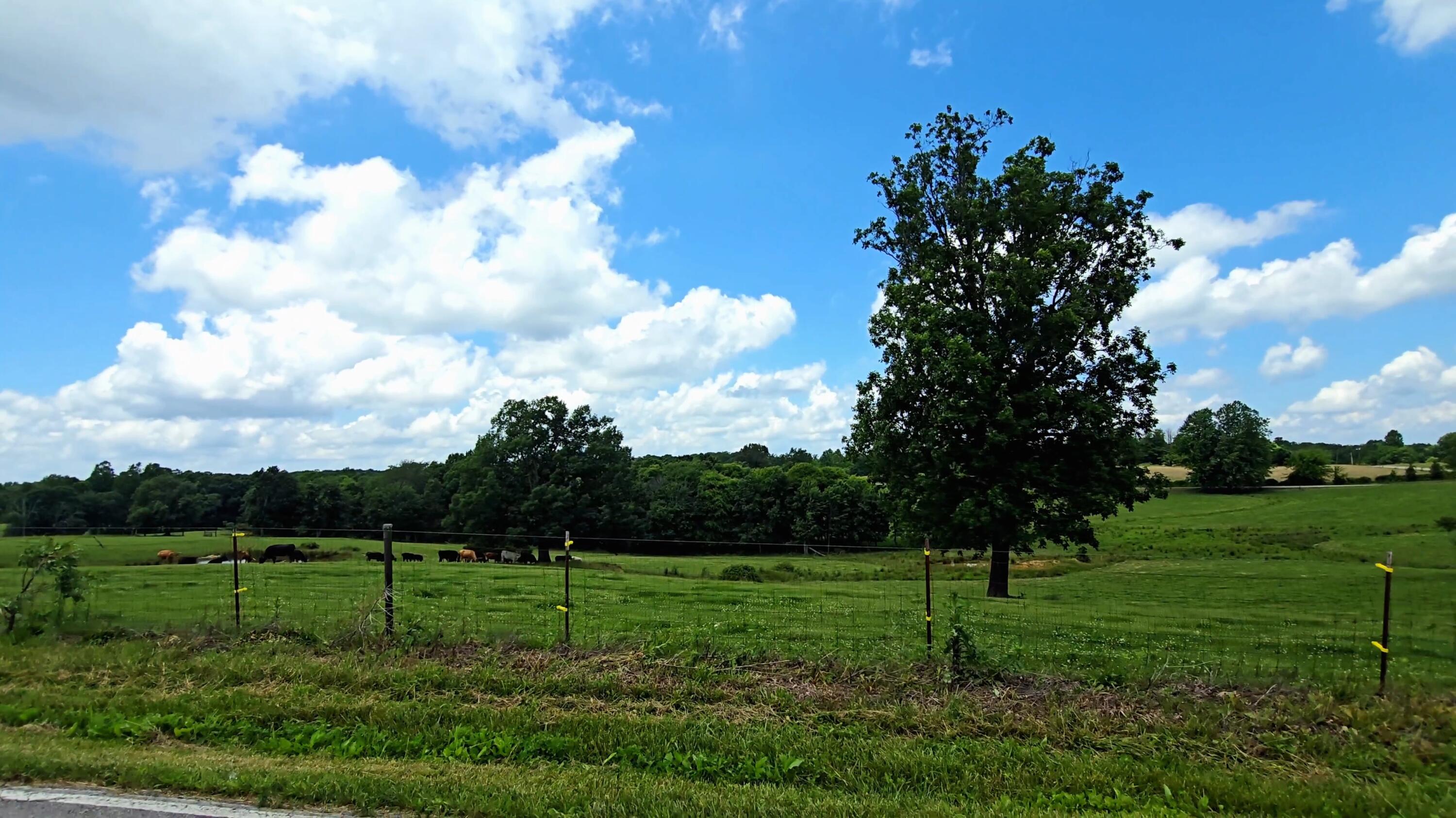 2224 Gap Road Altamont, TN 37301 - Photo 17 of 22 20260610_123354(1)