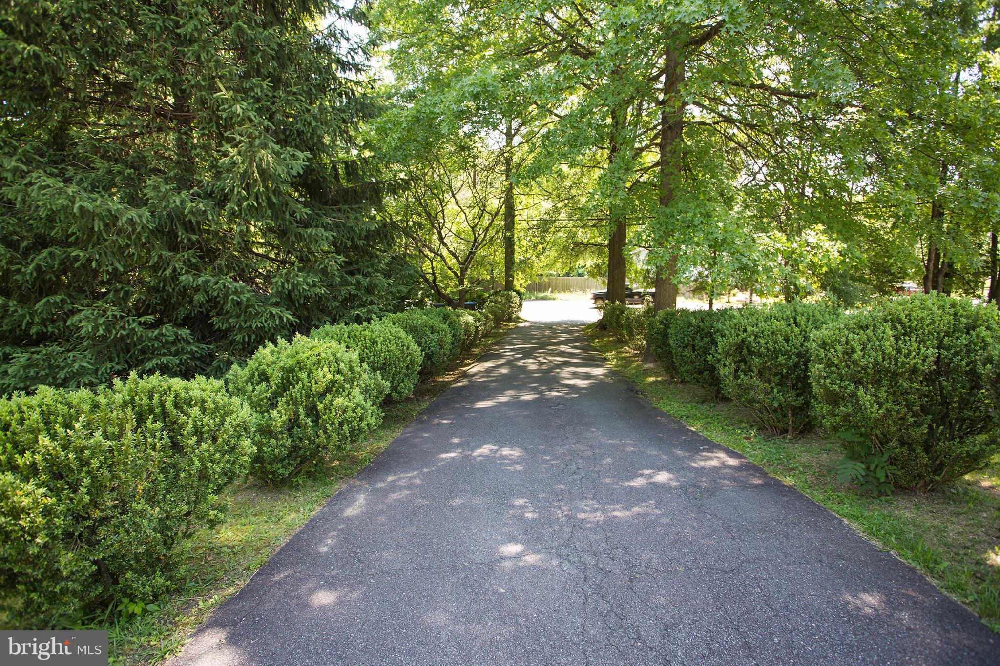 4704 Ravensworth Road Annandale, VA 22003 - Photo 2 of 30 Private and Quiet entrance