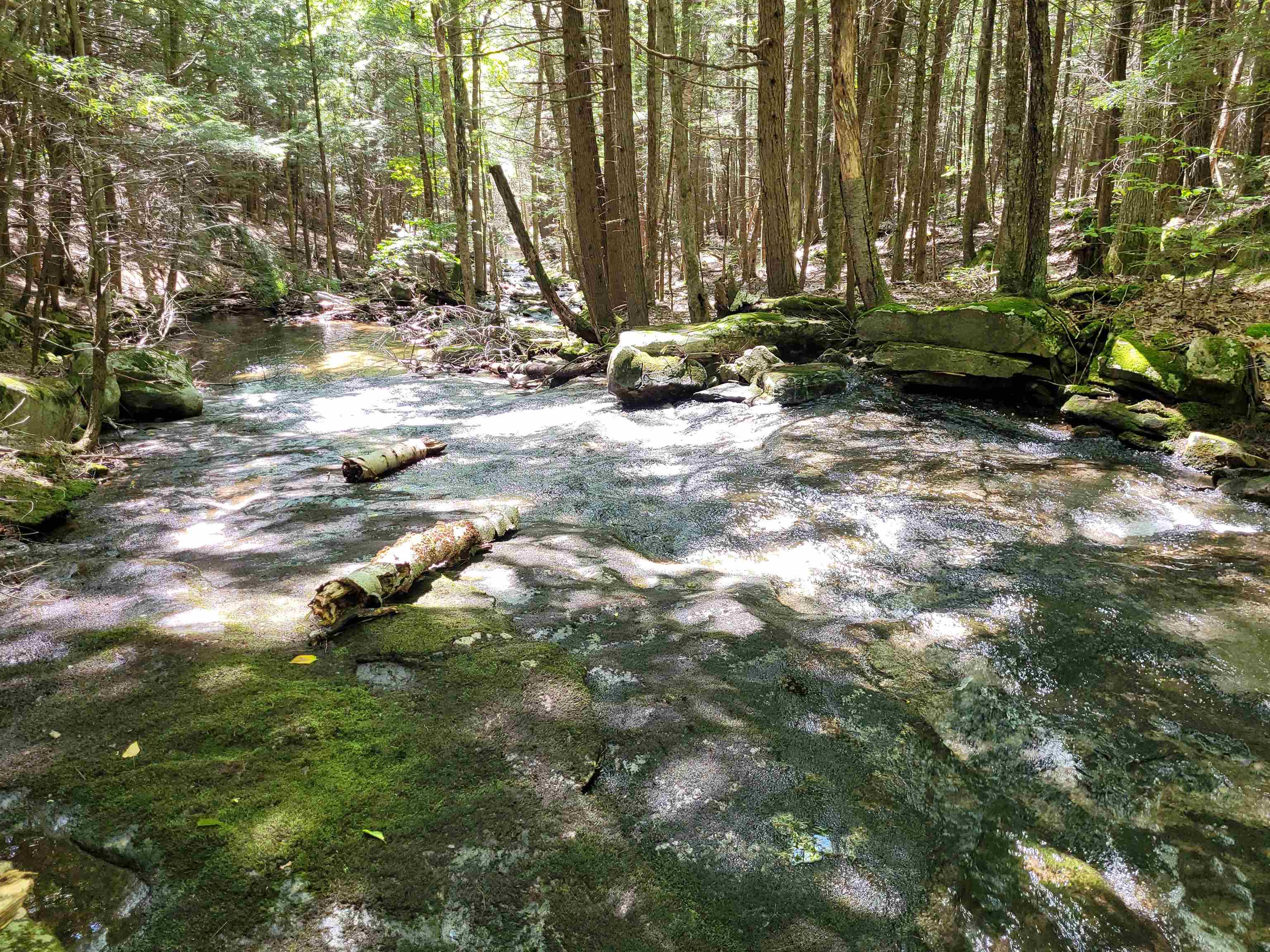 370 Old Walpole Road Keene, NH 03431 - Photo 36 of 40