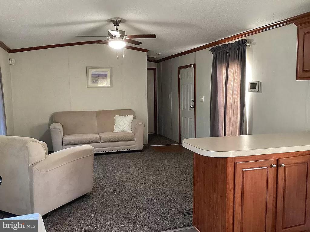 21 Marcella Street Georgetown, DE 19947 - Photo 5 of 10