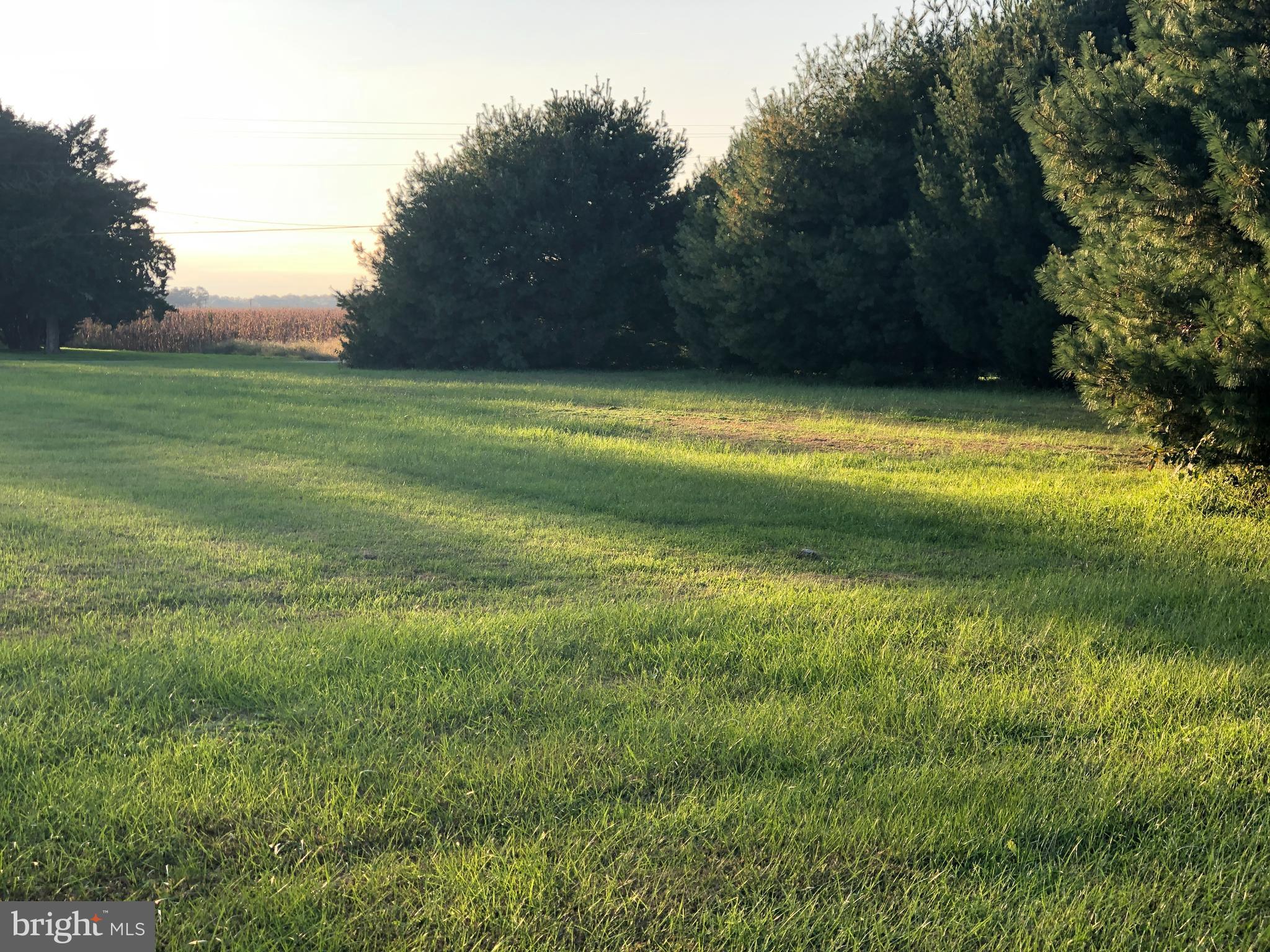 21 Marcella Street Georgetown, DE 19947 - Photo 9 of 10