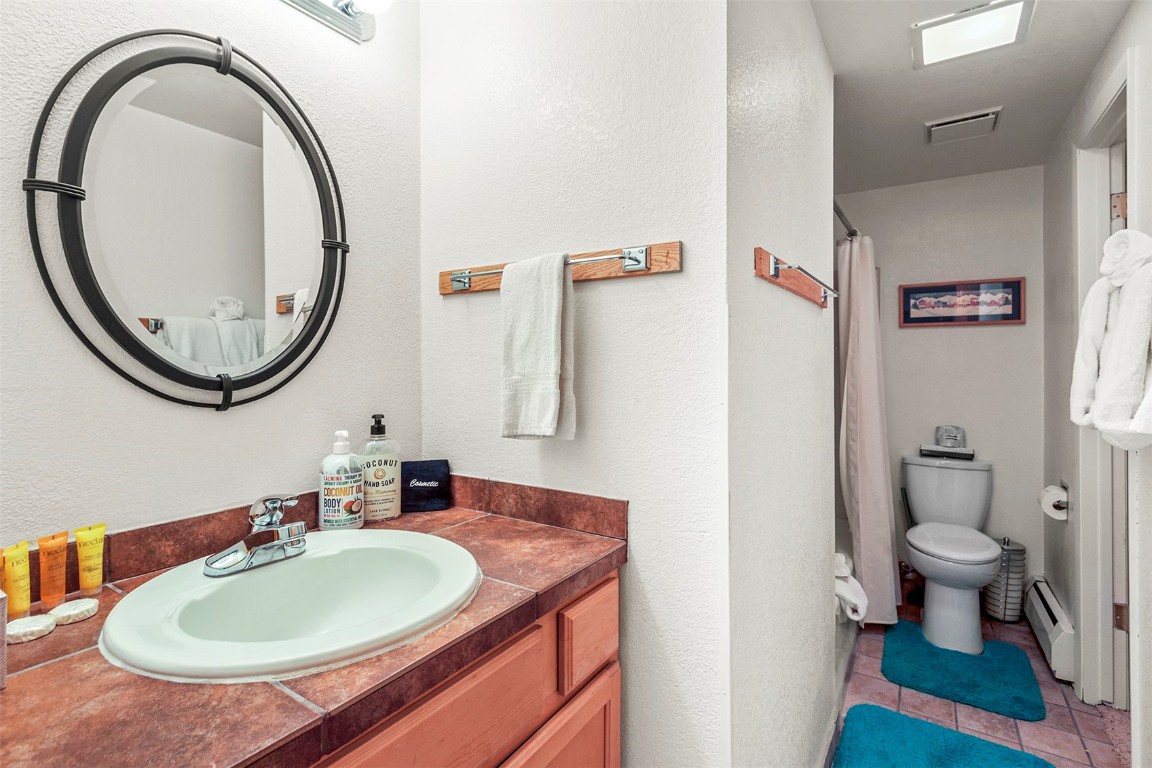 370 La Bonte Street, Unit F Dillon, CO 80435 - Photo 19 of 30 a bathroom with a sink and a mirror