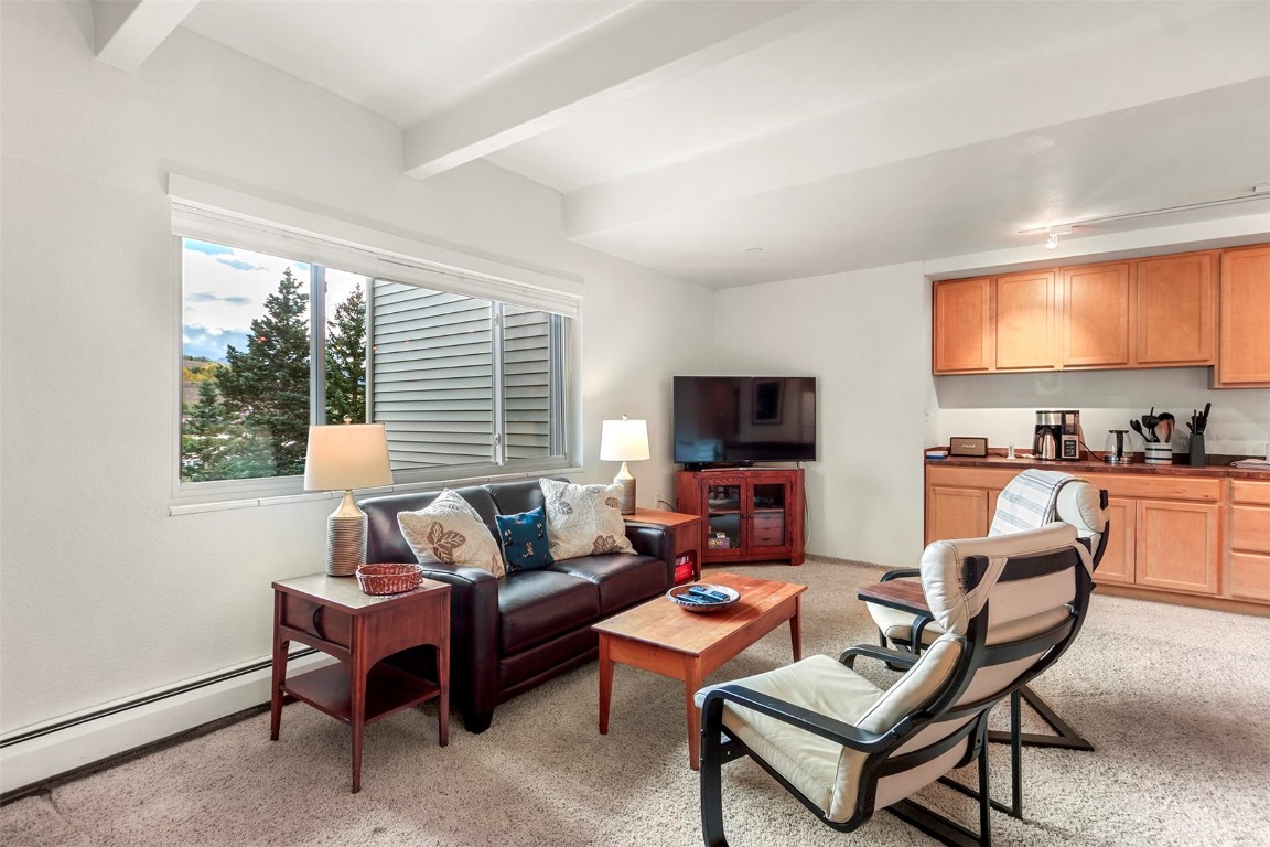 370 La Bonte Street, Unit F Dillon, CO 80435 - Photo 6 of 30 a living room with furniture a flat screen tv and a large window