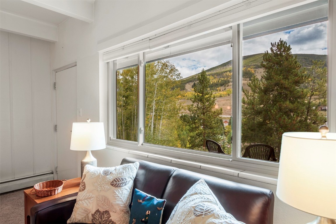 370 La Bonte Street, Unit F Dillon, CO 80435 - Photo 10 of 30 a living room with furniture and a window