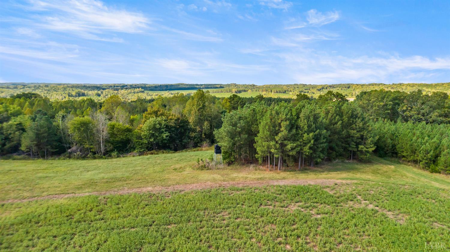 11271 Kentuck Road Sutherlin, VA 24594 - Photo 36 of 81 Gallery Image 36