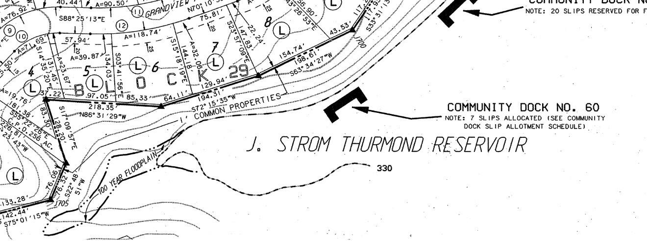 L5-b29 Crown Point McCormick, SC 29835 - Photo 4 of 4 Original Survey 2