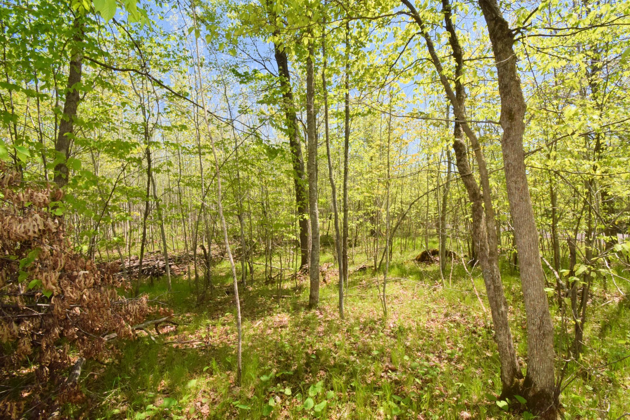 Lot 10 Fremsted Road Danbury, WI 54830 - Photo 2 of 28