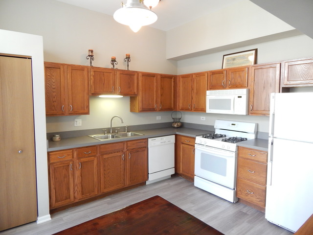 374 Springmist Court Bolingbrook, IL 60440 - Photo 5 of 12