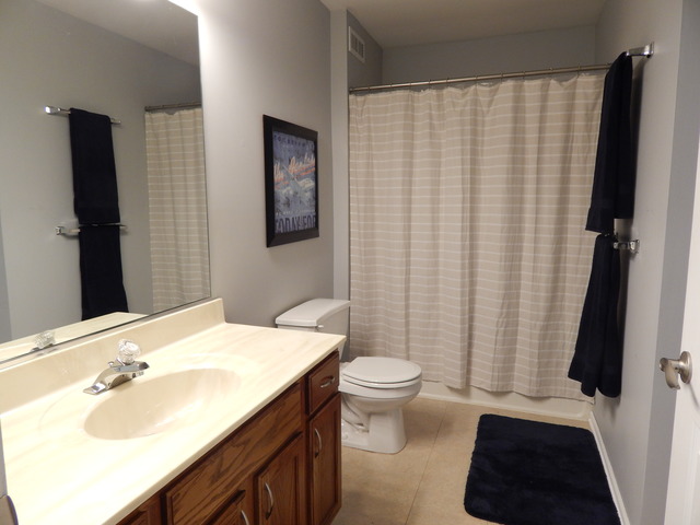 374 Springmist Court Bolingbrook, IL 60440 - Photo 9 of 12