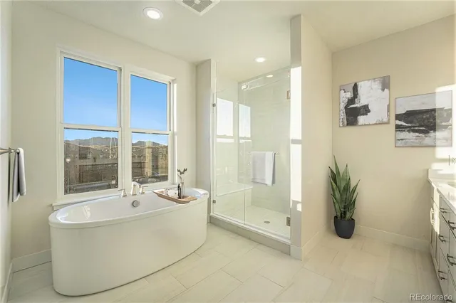 a bathroom with a bathtub and a shower