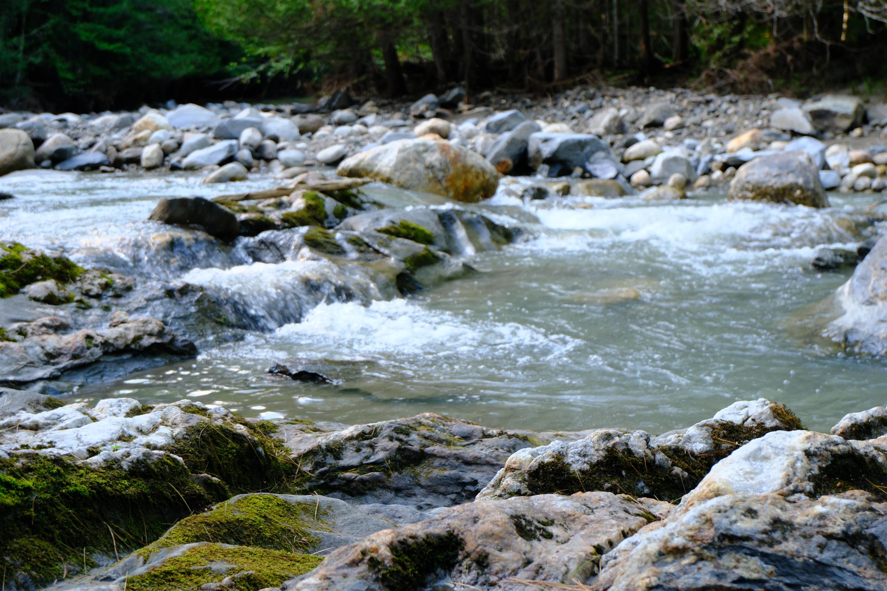 0 Calendar Brook Road Lyndonville, VT 05851 - Photo 11 of 60