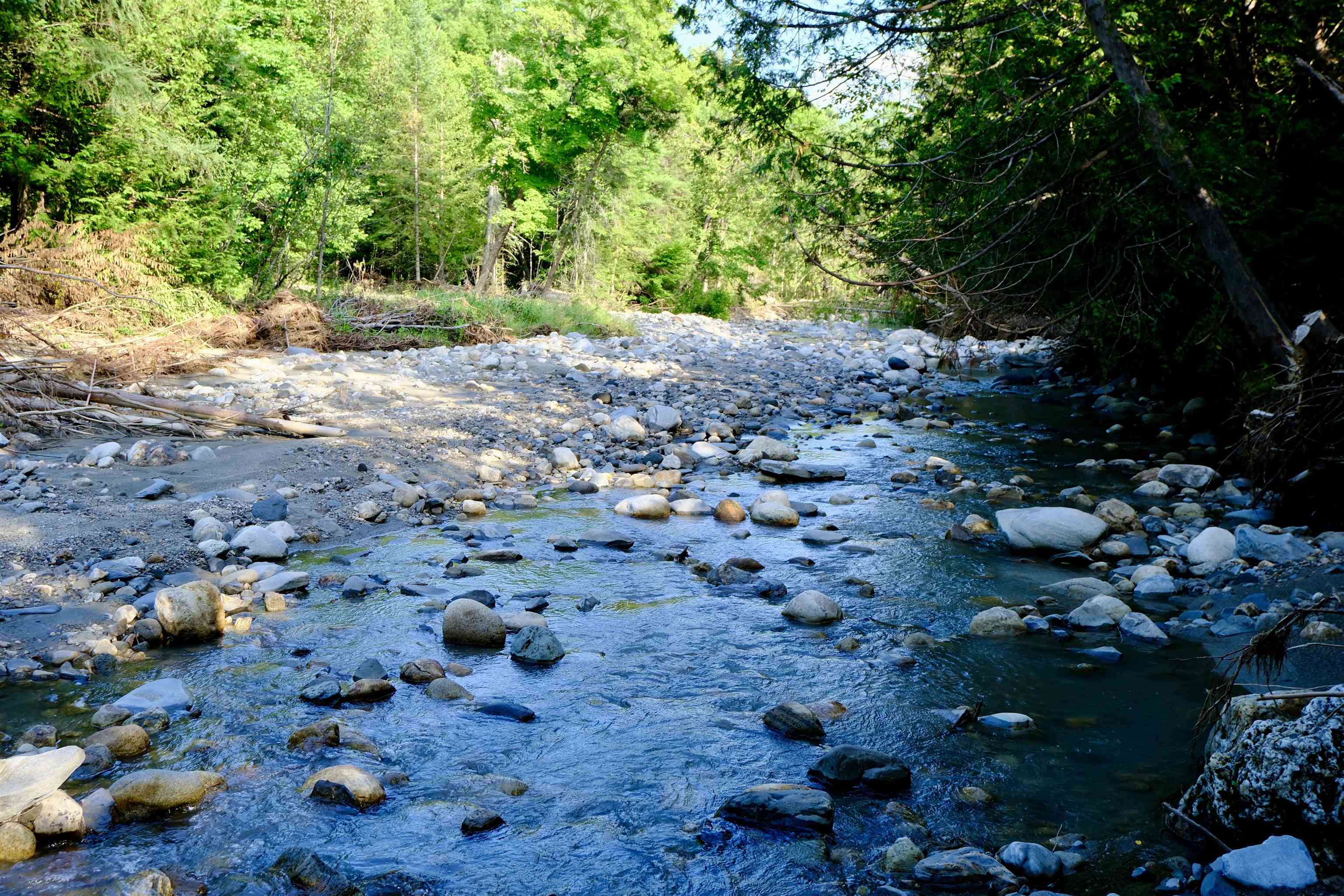 0 Calendar Brook Road Lyndonville, VT 05851 - Photo 16 of 60